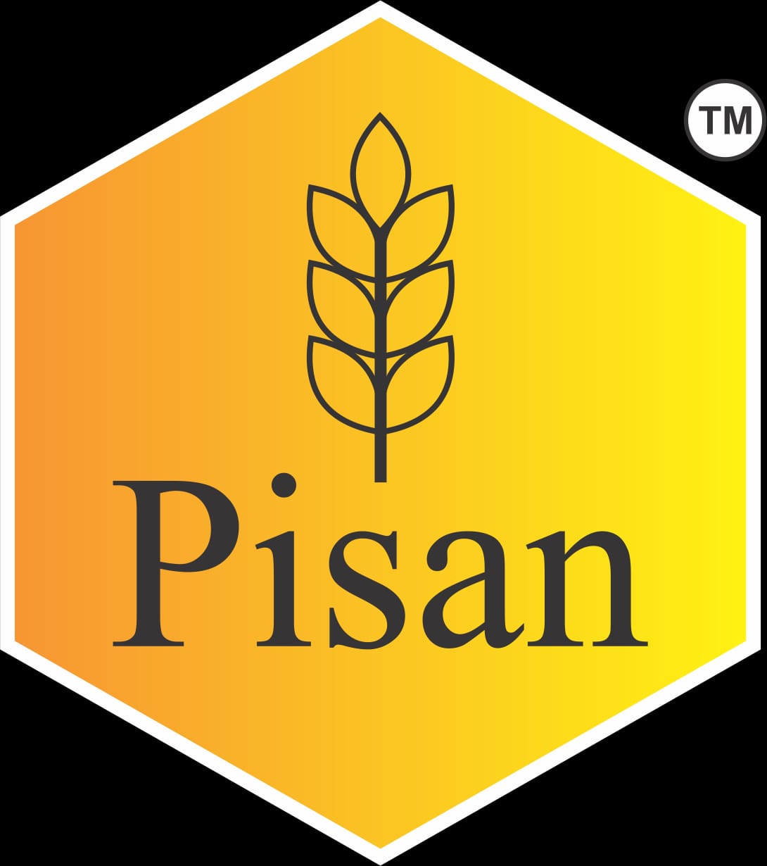 nine Pisan Logo